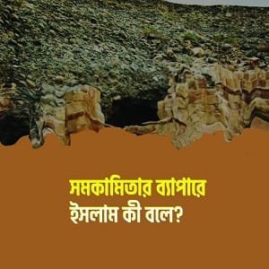 সমকামিতার ব্যাপারে ইসলাম কী বলে?